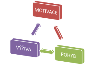 Motivace